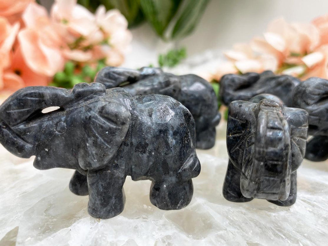 Contempo Crystals - Silver-Flash-Larvikite-Elephant-Crystal-Carving - Image 1