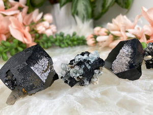 Contempo Crystals - Small-Black-Schorl-Tourmaline-from-Namibia - Image 2
