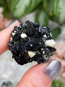 Contempo Crystals - Small-Black-Tourmaline-Albite-Cluster - Image 10