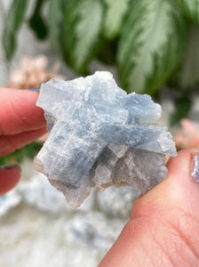 Contempo Crystals - Small-Blue-Barite - Image 9