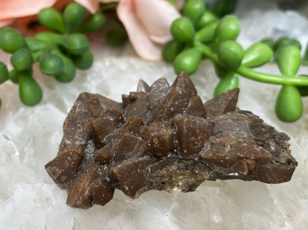 Small-Chocolate-Dogtooth-Calcite-Cluster