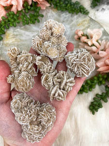 Contempo Crystals -    Small-Desert-Rose-Selenite-Crystals - Image 2
