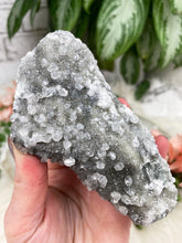 Load image into Gallery: Contempo Crystals - Small Gray Sparkle Calcite - Image 13