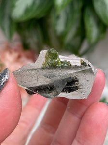 Contempo Crystals - Small-Green-Tourmaline-in-Clear-Quartz-with-Rutile - Image 11