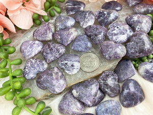 Contempo Crystals - Small-Lepidolite-Hearts - Image 6