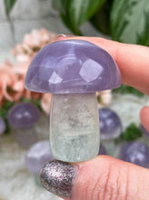 Load image into Gallery: Contempo Crystals - Pastel Fluorite Crystal Mushrooms - Image 13