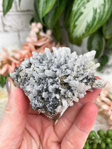 Contempo Crystals - Small-Peru-Quartz-Sphalerite-Pyrite - Image 9