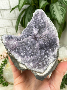 Contempo Crystals - Small-Purple-Amethyst-Cluster-Sits-Two-Ways - Image 7