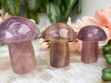 Load image into Gallery: Contempo Crystals - Small-Purple-Fluorite-Mushrooms - Image 3