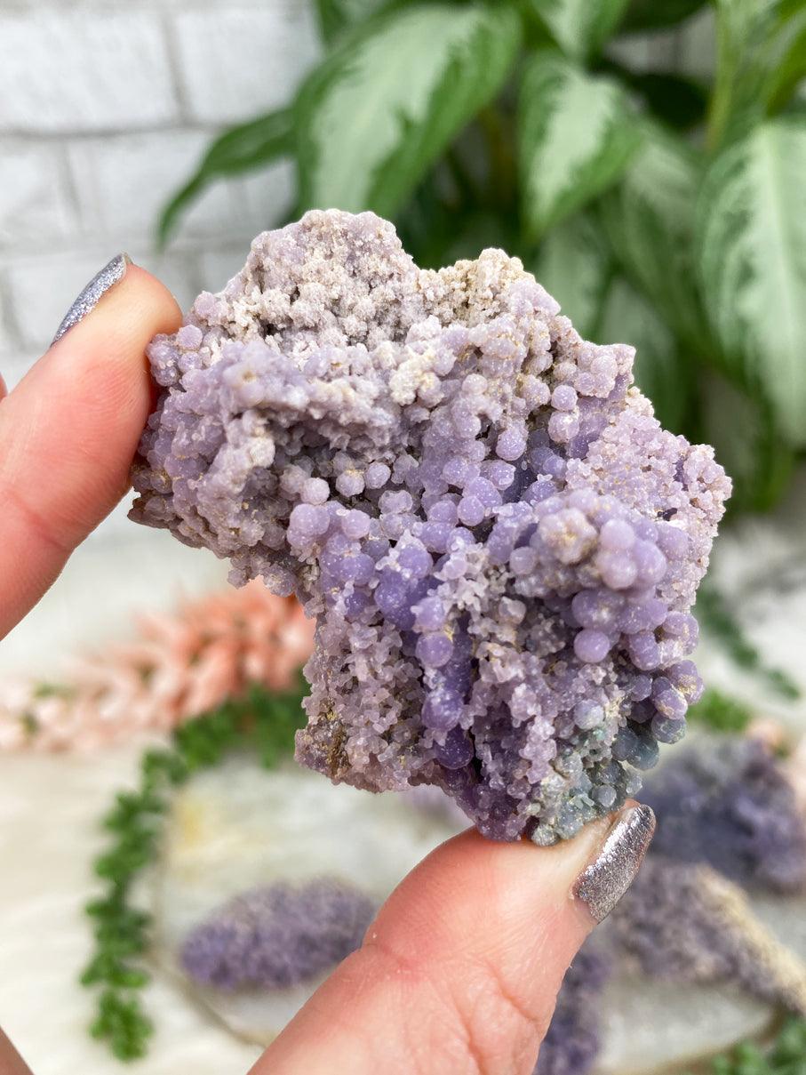 BIG Druzy store Grape Agate Cluster Purple Botryoidal Crystal Chalcedony Crystals Gem