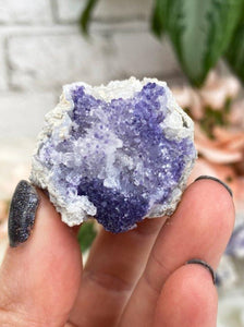 Contempo Crystals - Small-Purple-Spirit-Flower-Geode-Crystal - Image 4