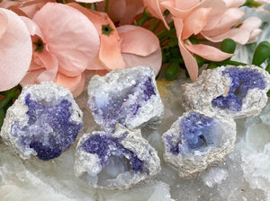 Contempo Crystals - Small-Purple-White-Chalcedony-Fluorite-Spirit-Flower-Geodes - Image 9