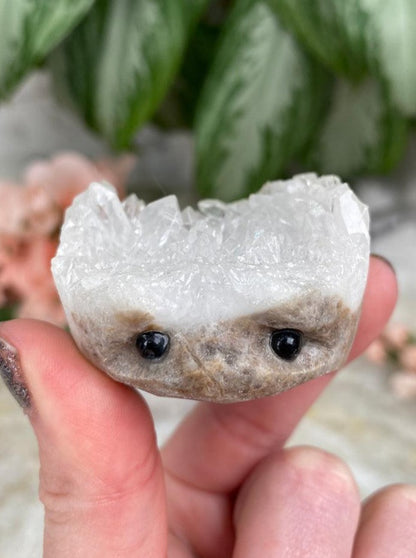 Quartz Hedgehogs