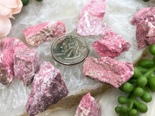 Load image into Gallery: Contempo Crystals - Small-Raw-Thulite - Image 3