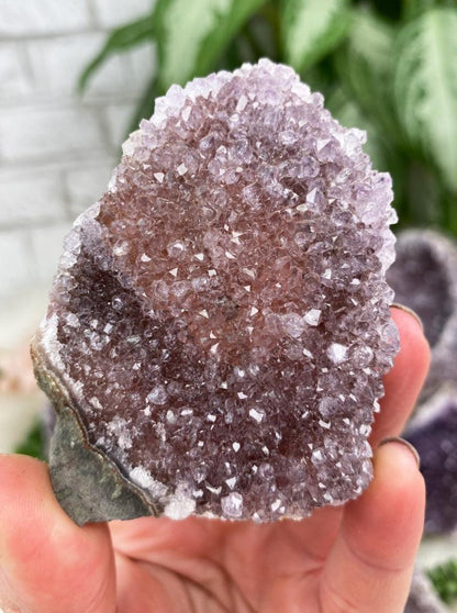 Small-Red-Amethyst-Cluster