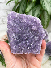 Load image into Gallery: Contempo Crystals - Small-Vibrant-Purple-Amethyst-Cluster - Image 11