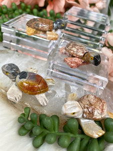 Contempo Crystals - Soapstone-Sea-Turtle - Image 19