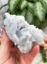 Load image into Gallery: Contempo Crystals - Light-Blue-Spanish-Barite - Image 8