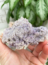 Load image into Gallery: Contempo Crystals - Sparkle-Purple-Grape-Agate - Image 8