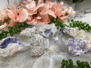 Contempo Crystals - Spirit-Flower-Geodes - Image 7