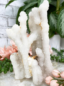 Contempo Crystals - Standing-Chalcedony-Stalactite - Image 4