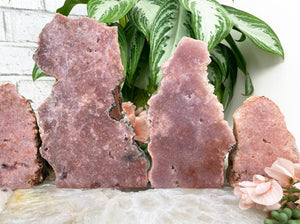 Contempo Crystals - Standing-Pink-Amethyst-Brazil - Image 1