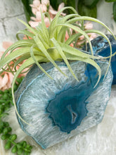 Load image into Gallery: Contempo Crystals - Teal-Agate-Air-Plant-Holder - Image 5