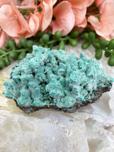 Contempo Crystals - Teal-Kobyashevite-Crystal-Cluster-Furry-Texture - Image 4