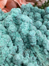 Load image into Gallery: Contempo Crystals - Teal-Kobyashevite-Gypsum-Fur-Growth - Image 11