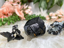 Load image into Gallery: Contempo Crystals - Terminated-Black-Schorl-Tourmaline - Image 4