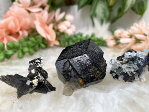 Contempo Crystals - Terminated-Black-Schorl-Tourmaline - Image 3