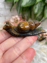 Load image into Gallery: Contempo Crystals - Tiger-Eye-Snail-Crystal - Image 6