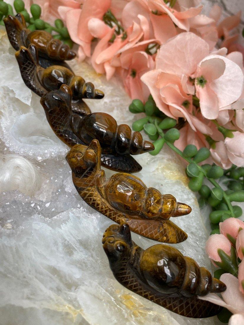 Tiger-Eye-Snail-Crystals-for-Sale