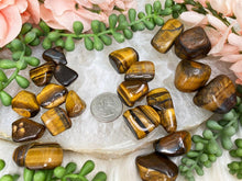 Load image into Gallery: Contempo Crystals - Tiger-Eye-Tumbles-for-Sale - Image 3
