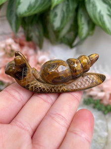 Contempo Crystals - Tigers-Eye-Snail-Crystal-Carving - Image 8