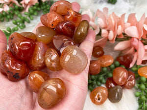 Contempo Crystals - Tumbled-Carnelian - Image 6