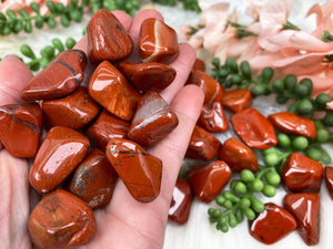 Contempo Crystals - Tumbled-Red-Jasper-for-Sale - Image 1