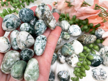 Load image into Gallery: Contempo Crystals - Tumbled-Tree-Agate - Image 1