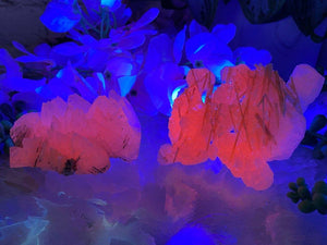 Contempo Crystals - UV-Mangano-Calcite-Double-Terminated-Crystal-Cluster - Image 5