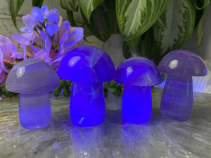 Contempo Crystals - UV-Reactive-Fluorite-Mushrooms - Image 4