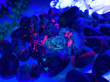 Load image into Gallery: Contempo Crystals - UV-Reactive-Tumbled-Ruby-with-Zoisite - Image 3