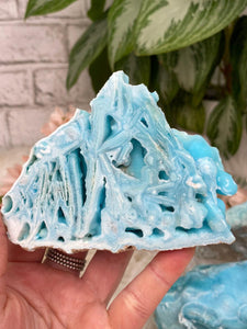 Contempo Crystals - Unique-Blue-Aragonite-Crystal - Image 5