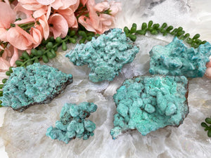 Contempo Crystals - Vibrant-Teal-Blue-Kobyashevite-Crystal-Clusters-Dogtooth - Image 3