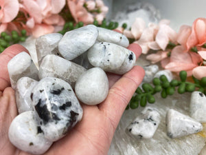 Contempo Crystals - Tumbled-White-Black-Rainbow-Moonstone-Crystal-for-Gridding - Image 7