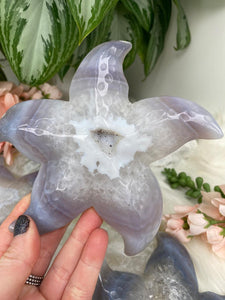 Contempo Crystals - White-Gray-Agate-Starfish-Carving - Image 9