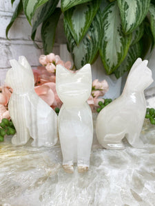 Contempo Crystals - White-Onyx-Calcite-Carved-Crystal-Cats - Image 4