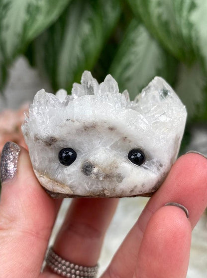 Quartz Hedgehogs