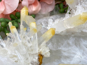 Contempo Crystals - Yellow-Mango-Quartz-Crystal-Cluster-for-Sale - Image 7