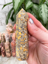 Load image into Gallery: Contempo Crystals - Leopard Jasper Points - Image 10