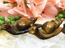 Load image into Gallery: Contempo Crystals - Yellow-Tiger-Eye-Snails-Crystal - Image 1